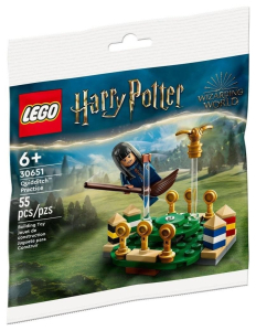LEGO Harry Potter 30651 Trening quidditcha