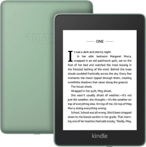 Czytnik Kindle Paperwhite 4 8GB Waterproof zielony (B08412B9N5)