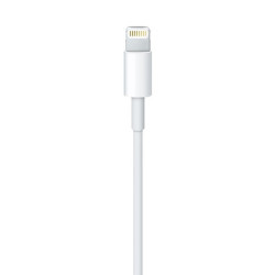 Apple Lightning to USB 2.0m biały'