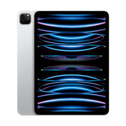 11-inch iPad Pro Wi-Fi + Cellular 256GB - Silver'