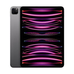 11-inch iPad Pro Wi-Fi + Cellular 128GB - Gwiezdna Szarość'