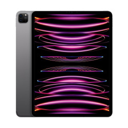 12.9-inch iPad Pro Wi‑Fi + Cellular 128GB- Gwiezdna Szarość'