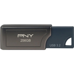 PNY Elite PRO V2 3.2 256GB (250/600 MB/s)'