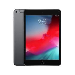 Apple iPad mini Wi-Fi + Cellular 256GB - Space Grey'