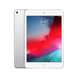 Apple iPad mini Wi-Fi + Cellular 256GB - Silver'