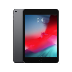 Apple iPad mini Wi-Fi 64GB - Space Grey'