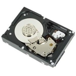 Dell 2TB 7.2K RPM SATA 6Gbps 512n 3.5in Cabled Hard Drive for PE T150'