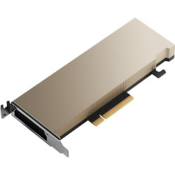 Karta graficzna PNY NVIDIA A2 Module 16 GB GDDR6 ECC  PCIe 4.0 x16   LP - ATX bracket  retail'