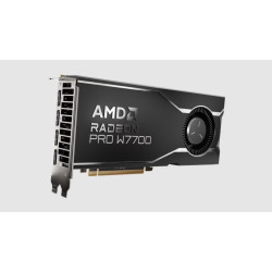 Karta graficzna - GPU AMD Radeon PRO W7700 16GB 100-300000006'