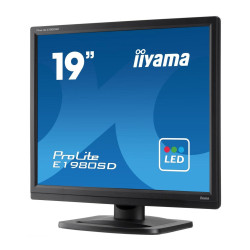 Monitor iiyama ProLite B1980SD-B1 (B1980SD-B1) 19"| TN | 1280 x 1024 | D-SUB | DVI | Głośniki | Pivot | VESA 100 x 100'