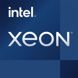 Procesor Intel XEON E-2388G (8C/16T) 3 2GHz (5 1GHz Turbo) Socket LGA1200 TDP 95W TRAY'