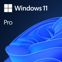Oprogramowanie - Microsoft Windows Pro 11 64 bit OEM DVD PL'