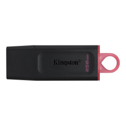 KINGSTON FLASH 256GB USB3.2 Gen1 DataTraveler Exodia (B+P)'