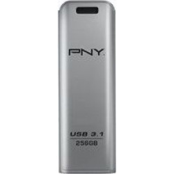 PNY Elite Steel 3.1 256GB'