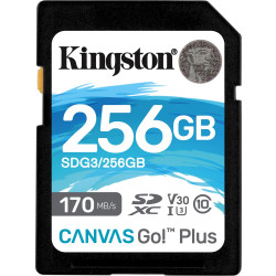 Kingston SDXC Canvas Go Plus 256GB 170R C10 UHS-I U3 V30'