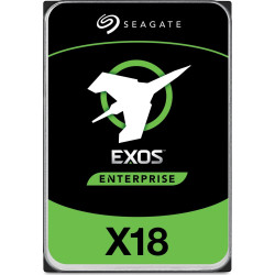 Seagate Exos X18 10TB'