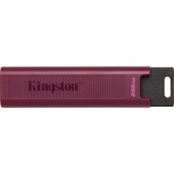 Kingston DataTraveler MAX 256GB USB 3.2 USB-A'
