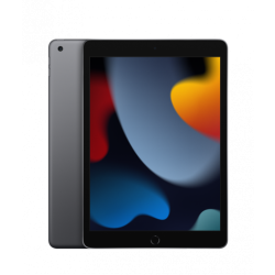 10.2-inch iPad Wi-Fi 64GB - Gwiezdna Szarość'